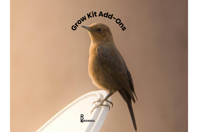 Bird on white lid with ‘Grow Kit Add-Ons’ text, RK Growers