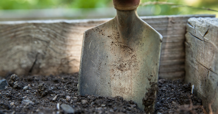 Hand shovel in soil of raised garden bed, essential tool for planting and gardening
