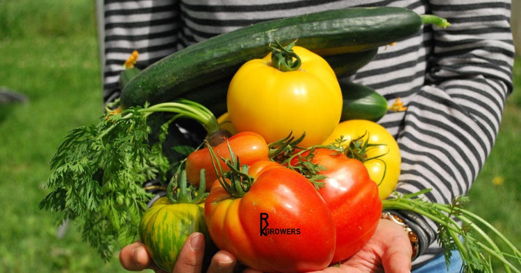 Person holding freshly gathered vegetables with RK Growers logo on a tomato, showcasing sustainable gardening and farm-to-table freshness.
