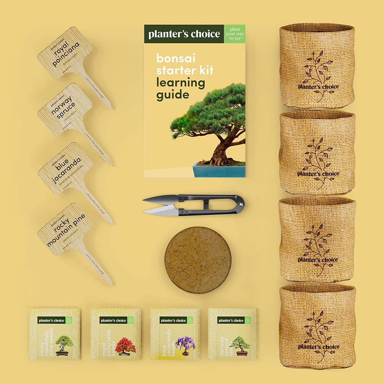 Bonsai starter kit with pots, labels, and learning guide on a yellow background