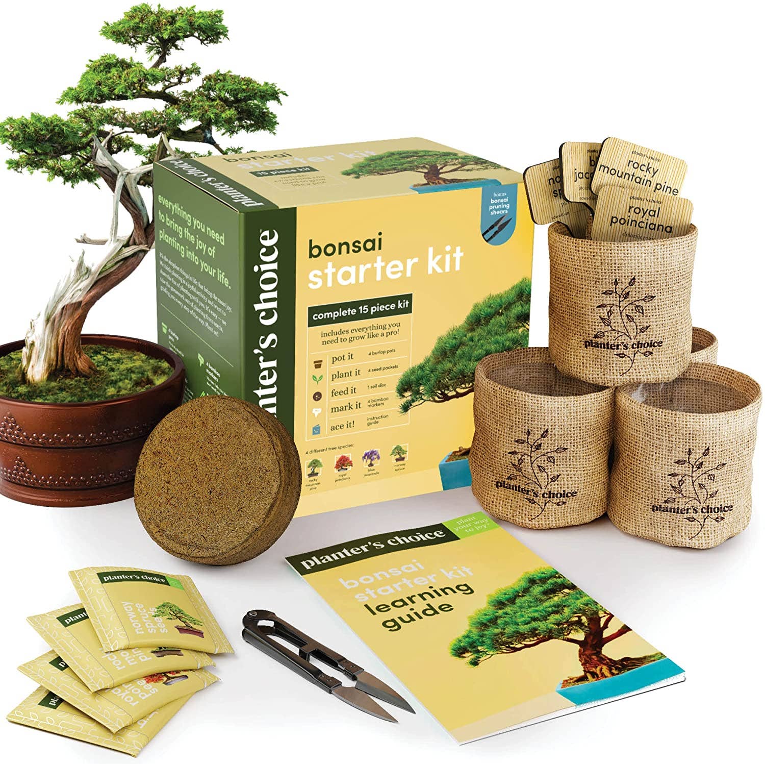 Bonsai starter kit with plants, pots, and tools on a white background