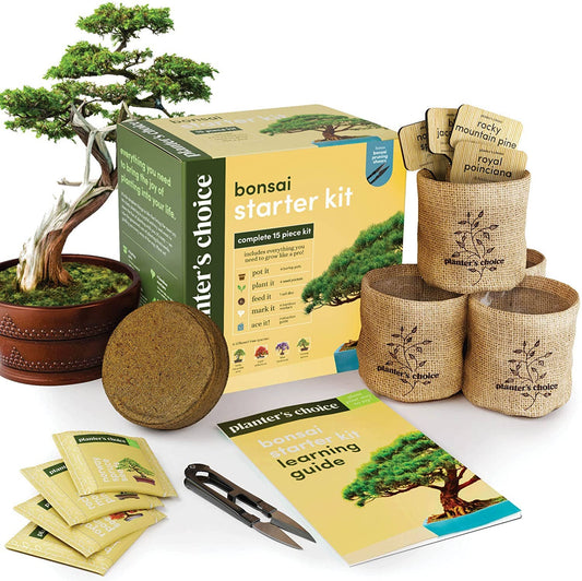 Bonsai starter kit with plants, pots, and tools on a white background