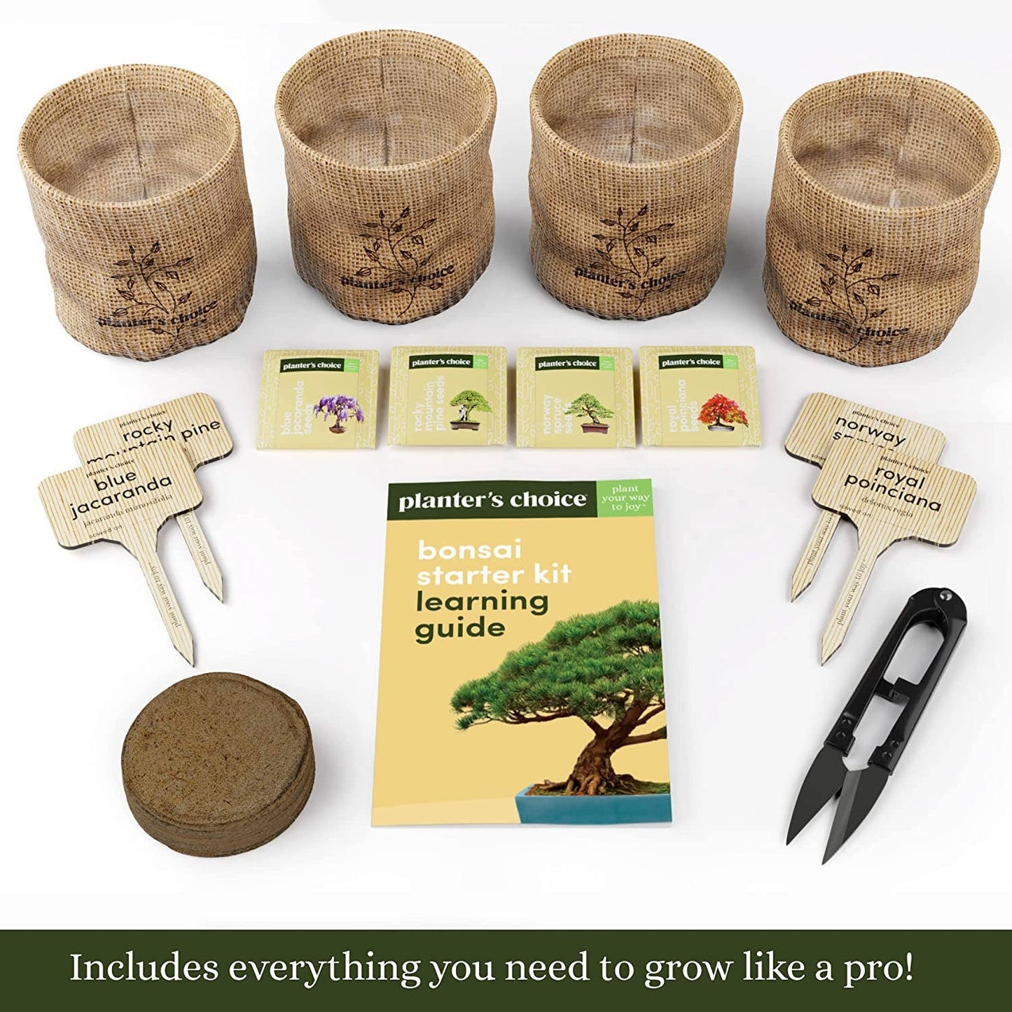 Bonsai starter kit with pots, labels, guidebook, and tools on a white background