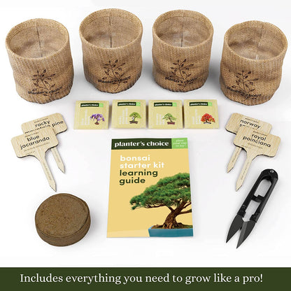 Bonsai starter kit with pots, labels, guidebook, and tools on a white background