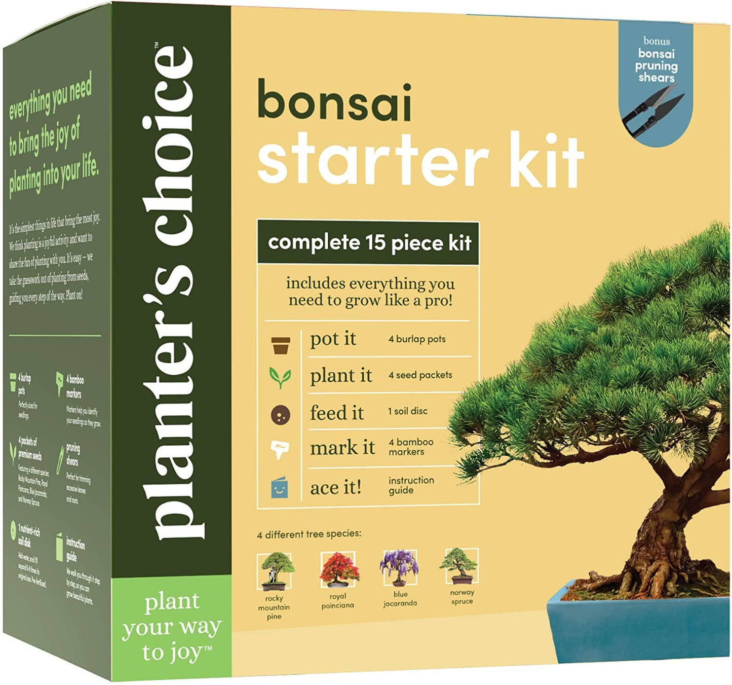 Bonsai starter kit packaging with a bonsai tree on a beige background
