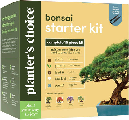 Bonsai starter kit packaging with a bonsai tree on a beige background