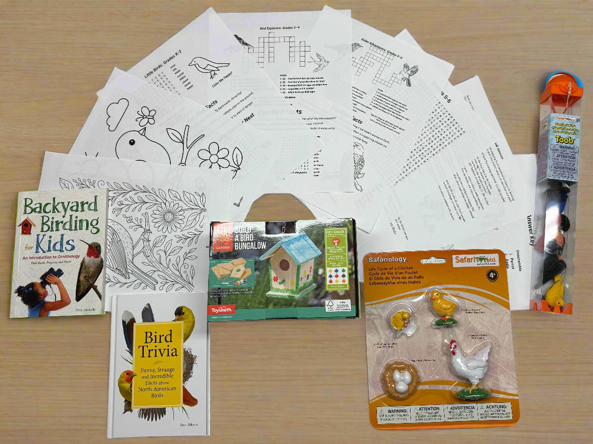 Educational materials and bird-related items on a table with a brick wall background