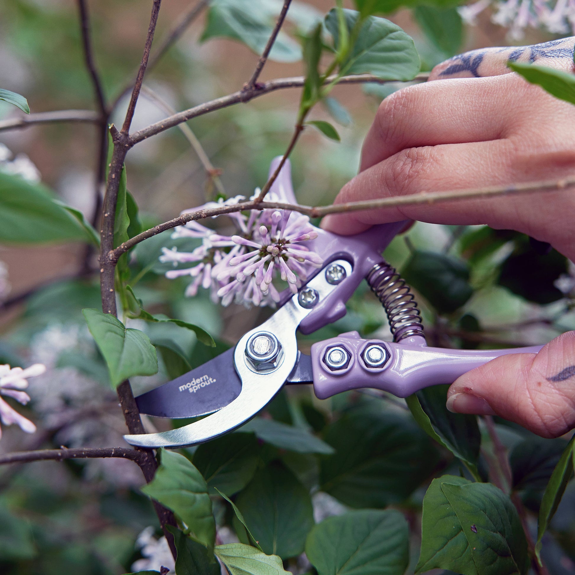 Person using purple gardening shears on a branch with green leaves and flowers in the background