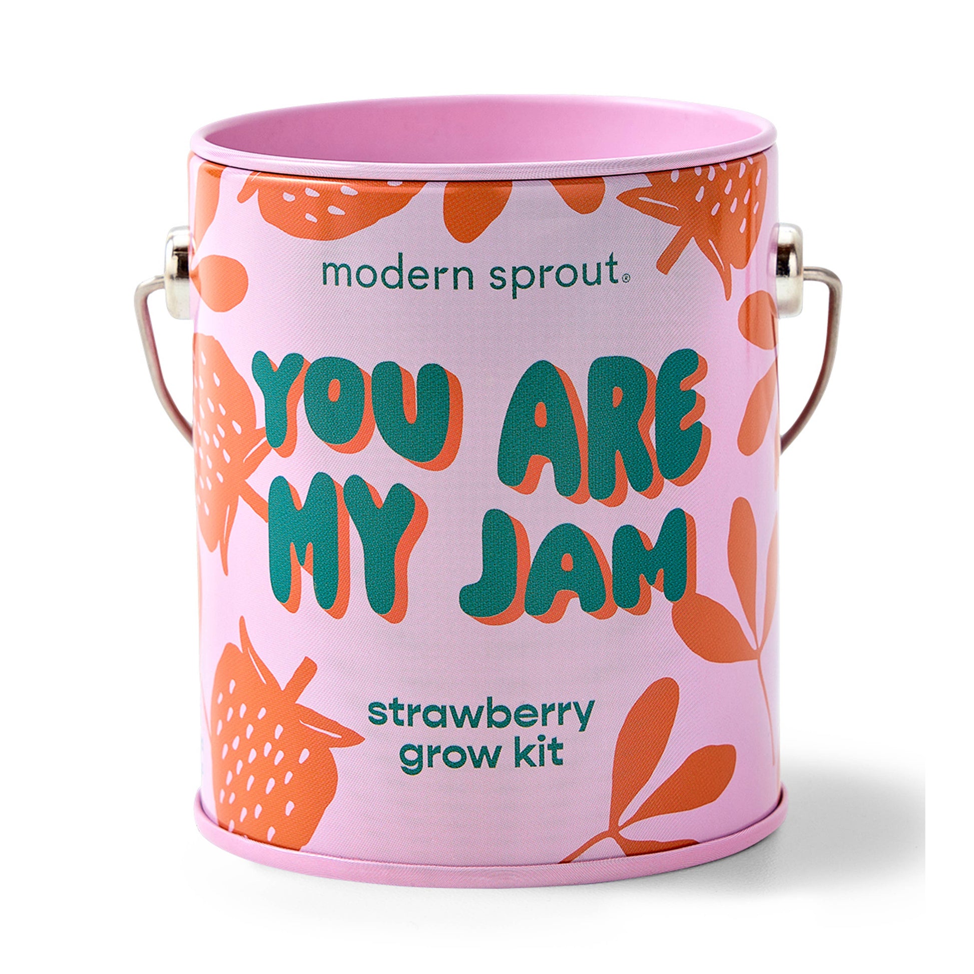 Pink container with 'modern sprout' branding and strawberry-themed design on a white background