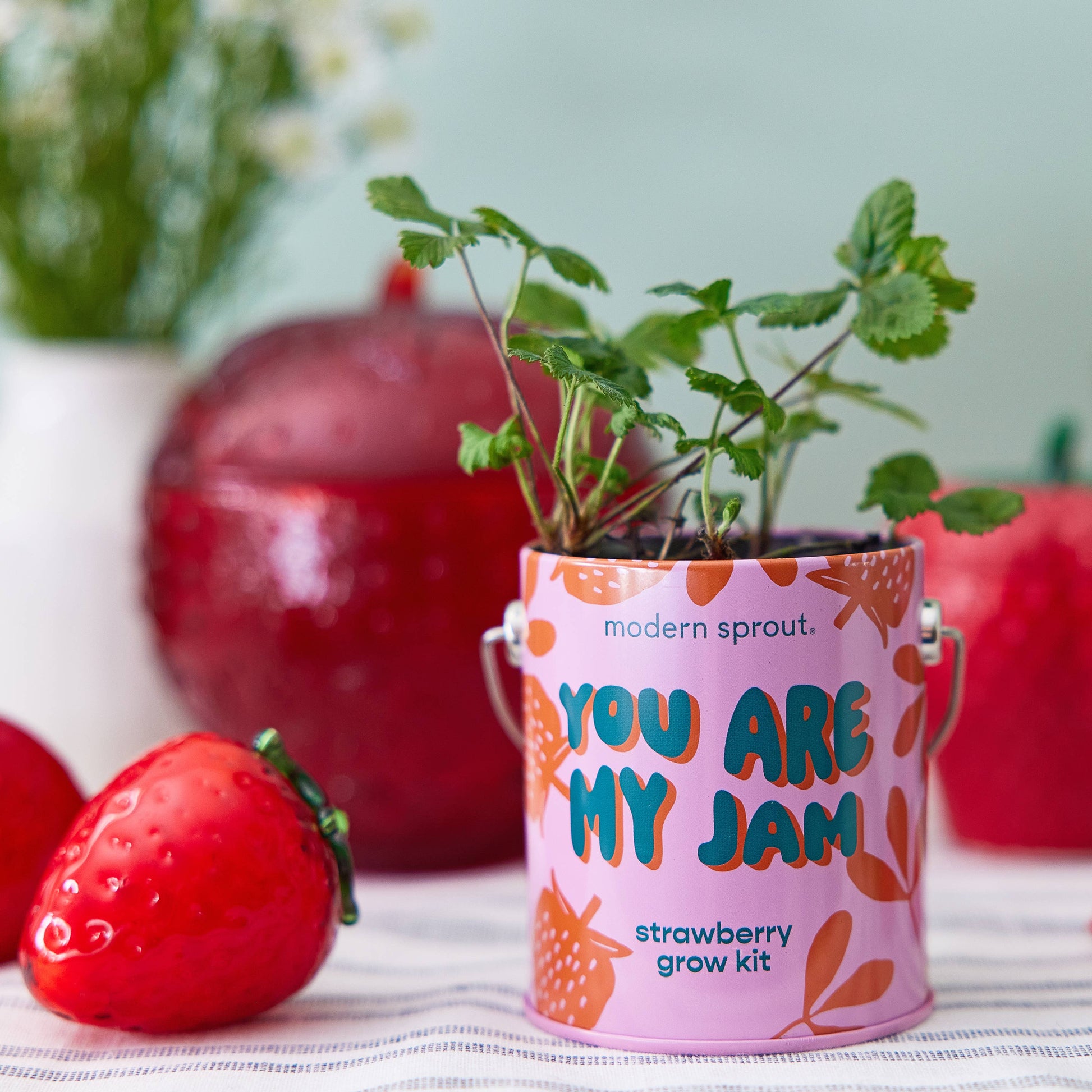 Strawberry grow kit with plants in a colorful container, surrounded by strawberries and pomegranates on a light surface.