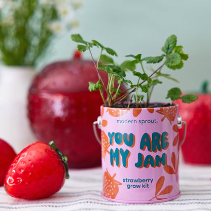 Strawberry grow kit with plants in a colorful container, surrounded by strawberries and pomegranates on a light surface.