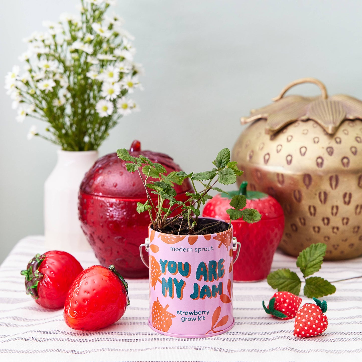 Strawberry plant in a decorative pot with strawberries and a vase in the background.