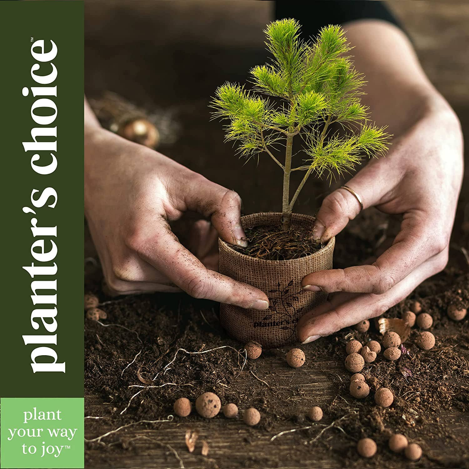 Two hands holding a small tree with 'planter's choice' text on the side.