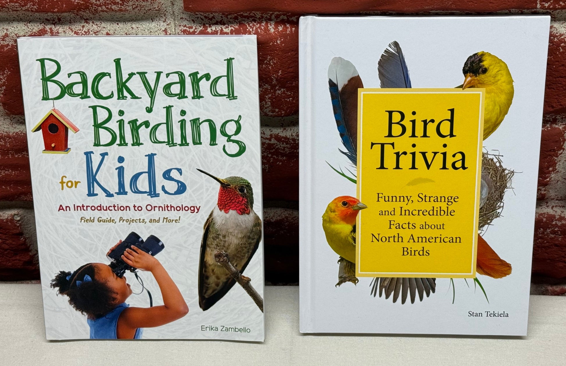 Two books titled 'Backyard Birding for Kids' and 'Bird Trivia' on a surface with a brick wall background.