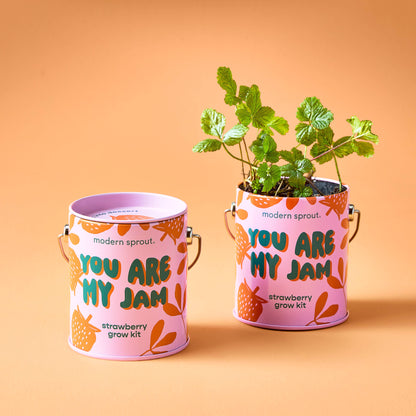 Two pink strawberry grow kits with plants on a peach background