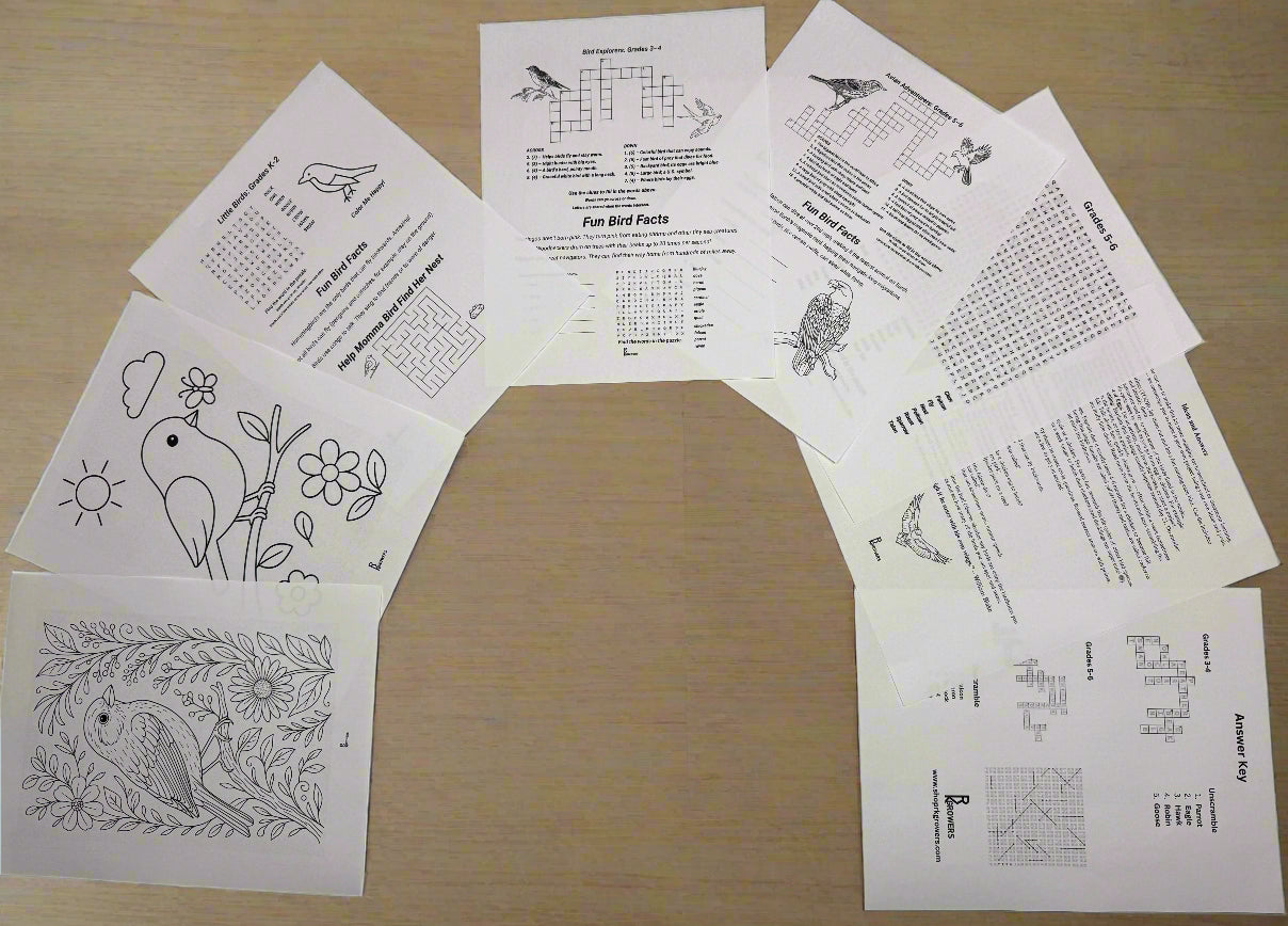 Set of educational worksheets on a beige surface with a brick wall background